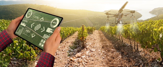 farmer controls drone sprayer with a tablet. smart farming and precision agriculture