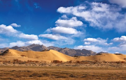 the gobi desert is a large desert or brushland region in east asia.