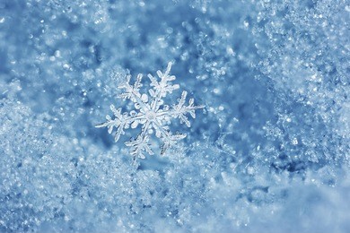 macro close up from a snowflake in natural surroundings