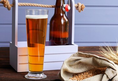 home brewing concept. make a lager beer with natural ingredients. still life with beer and barley on wooden background.