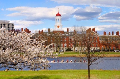 harvard in the spring