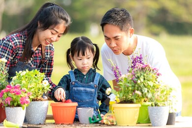 family child girl helping parent care plant flower in garden. young people mom father and daughter gardening outdoor sunny nature background. happy and enjoy in spring and summer day.  family concept
