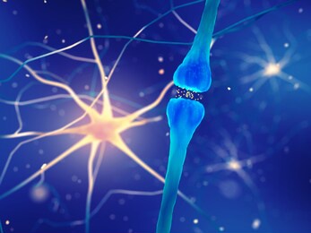 synapse and brain nerve cells 3d illustration , the neurons are a part of the central nervous system