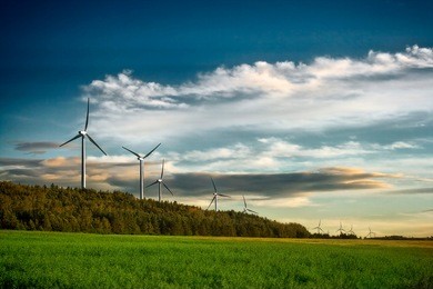wind turbine farm at sunset in canada