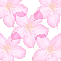 background design soft color flower lined