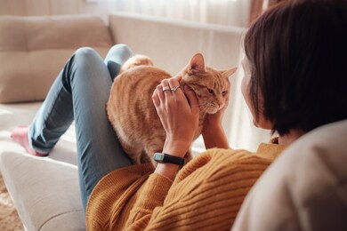young asian woman resting with pet in sofa at home in sunny. beautiful ginger tabby cat. animals and lifestyle concept.
