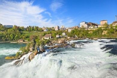 rhine falls in spring