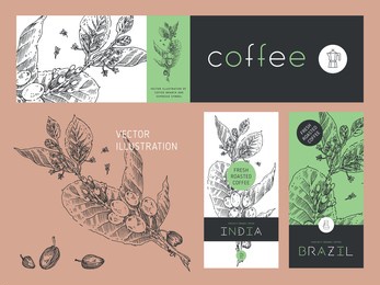 vector specialty coffee package. fresh roasted coffee label template design with branch illustration of coffee beans in engraved style. retro badge for cafe. vintage coffee house banner in vector.