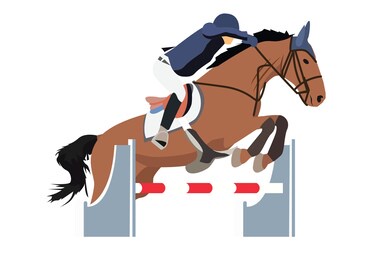 equestrian or horse riding sport vector flat illustration