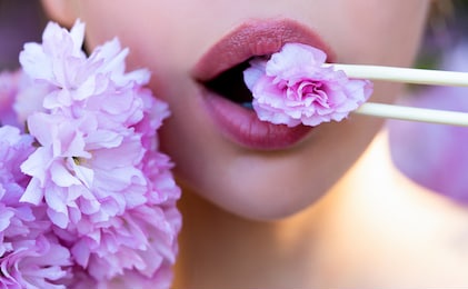 beautiful lips and smile with sakura in japanese sticks. pinl lips with pink flowers close up. japanese woman perfect smile with sakura. asian woman eating pink flowers