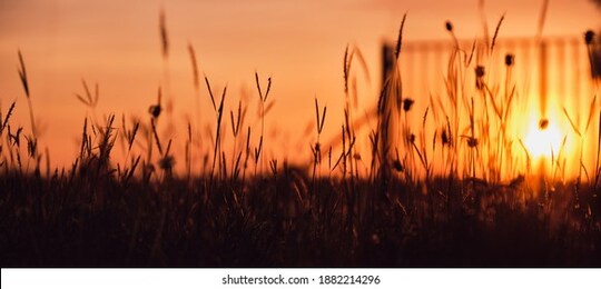 peaceful nature evening scenery, autumn background. summer sunset countryside evening spring