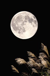 full moon