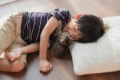 cute asian child playing with short hair kitten