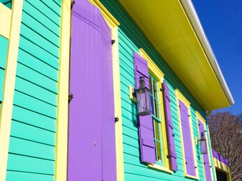 colorful new orleans, louisiana architecture and homes 