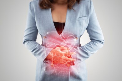 illustration of internal organs is on the woman's body against the gray background. business woman touching stomach painful suffering from enteritis. internal organs of the human body.