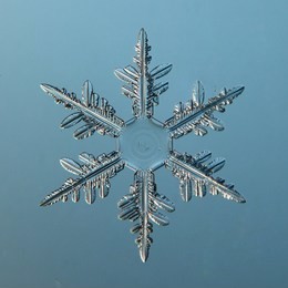 snowflake crystal natural