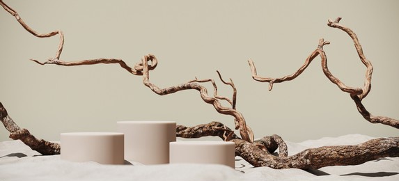 minimal mockup background for product presentation. podium and dry tree twigs on white sand beach. 3d rendering illustration. clipping path of each element included.