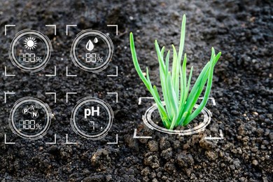 smart digital agriculture technology by futuristic sensor data collection. growing young green seedling sprouts