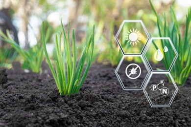 plant sprout growing and smart farm technology for detection and control system. innovation technology for agriculture