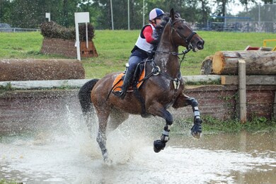 equestrian girl jumping sportive horse