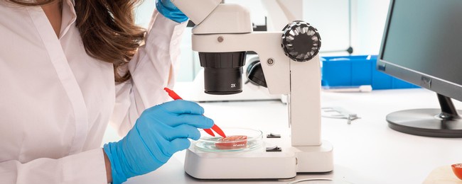 inspection of the quality of vegetables and fruits in the laboratory of food quality