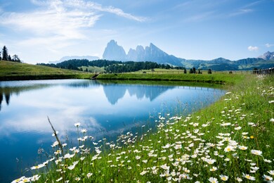 idyllic panoramic view of scenic mountain landscape in the alps with fields of blooming flowers and rugged mountain peaks reflecting in calm alpine lake on a sunny day with blue sky in springtime