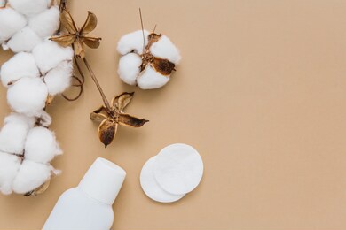 cotton pads for removing makeup, cosmetic product and branch of cotton plant on beige background, flat lay. skin care concept. cosmetic background. copy space.
