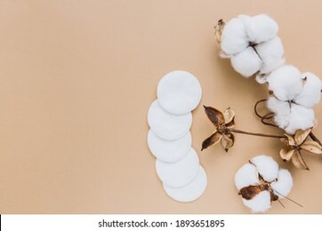 cotton pads for removing makeup and branch of cotton plant on beige background, flat lay. eco friendly concept. natural background. copy space.