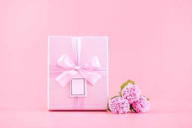mother's day holiday gift design concept, pink carnation flower bouquet with wrapped gift box isolated on pink background, copy space.