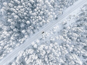 forest in snow. snowy forest road. forest road from above