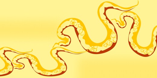 saree daman design for colorful digital printing digital textile saree design and colorful background and illustration