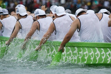 rowers working hard on a dragon boat race