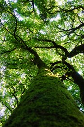 bnathan的作品 站酷海洛 正版图片,视频,字体,音乐素材交易平台 站酷旗下品牌