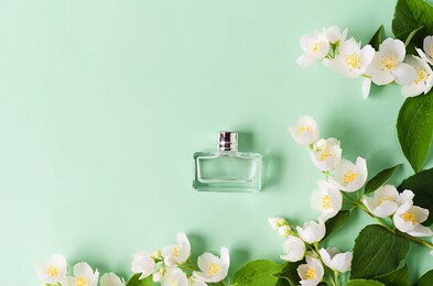 flowers and branches of jasmine perfume on green background. design spring floral greeting card, wedding invitation, natural cosmetic, packaging. copy space, text