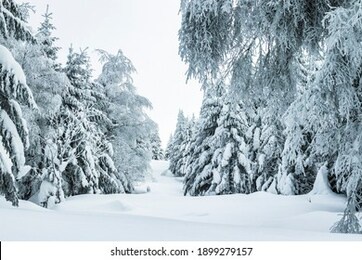 czech mountains. winter in czech republic.