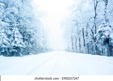 cold and snowy winter road in the mountains with blue evergreens during snowstorm.