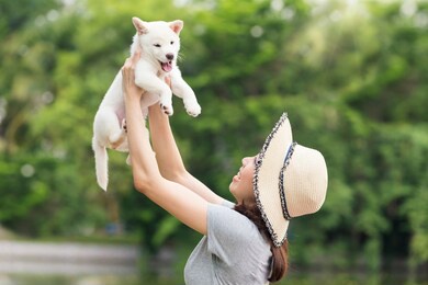 asian women playing with shiba inu white puppy in the garden. japanese woman and her lovely dog. shiba inu white color or hokkaido inu.