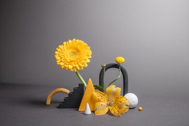 minimalistic composition with geometric objects and flowers. balancing flowers with varied shapes. modern abstract botanical background. trendy colors - gray and yellow.