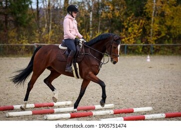 horse and rider during training with trotting poles, horse lifts its front leg over the pole.

