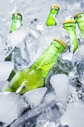 closeup of green beer bottles getting cool in ice cubes.