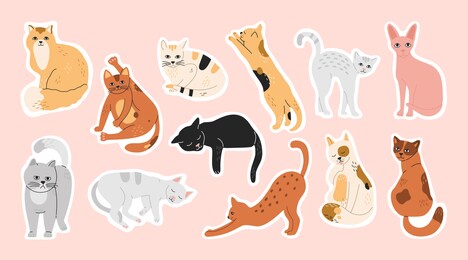 big bundle of stickers with sleeping, funny, cute cats. pins set of domestic pets, collection of washing kitty, hand drawn modern flat cartoon illustration in pastel colors isolated on pink background