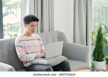 young men use laptops to work at home in living room