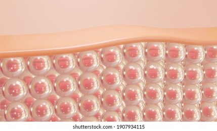 skin layer of the skin cell, skin cell microscope. 3d rendering.