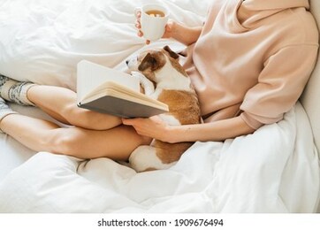 reading at home in bed with pet. cozy home weekend with note book, dog and hot tea. pink and white. chilling winter mood. relaxed slim woman in bed holding notebook and drinking tea. warm wool socks