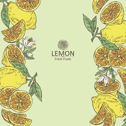 background with lemon: fruts, lemon flower and lemon slice. vector hand drawn illustration