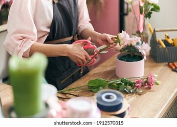 professional florist young woman is doing bouquets at flower shop