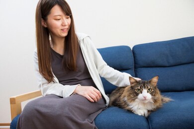 japanese woman spending living room with pet cat