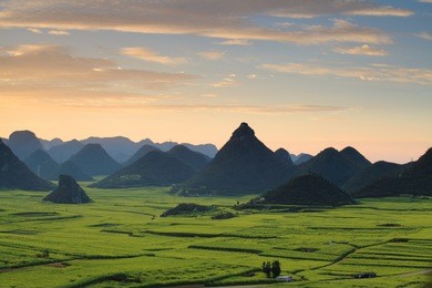 the county of luoping in eastern yunnan is noted for its beautiful scenery in spring.