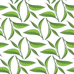 seamless tea pattern. natural tea vector illustration. drawing leaves.