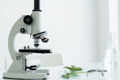 tests of plants in laboratory. glasswares and microscope in classroom or laboratory. science and education. scientific experiment, researcher, research concept